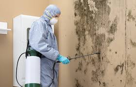 Best Asbestos and Lead Testing During Mold Inspection  in Shaker Heights, OH